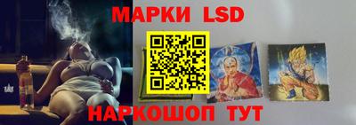 индика Заводоуковск