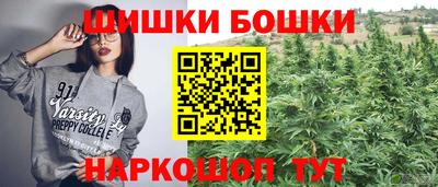 индика Заводоуковск