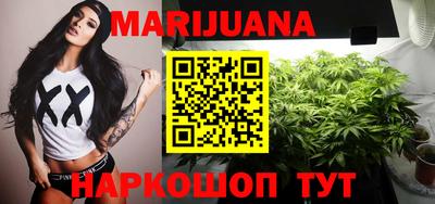 индика Заводоуковск