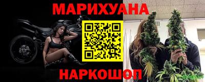 индика Заводоуковск