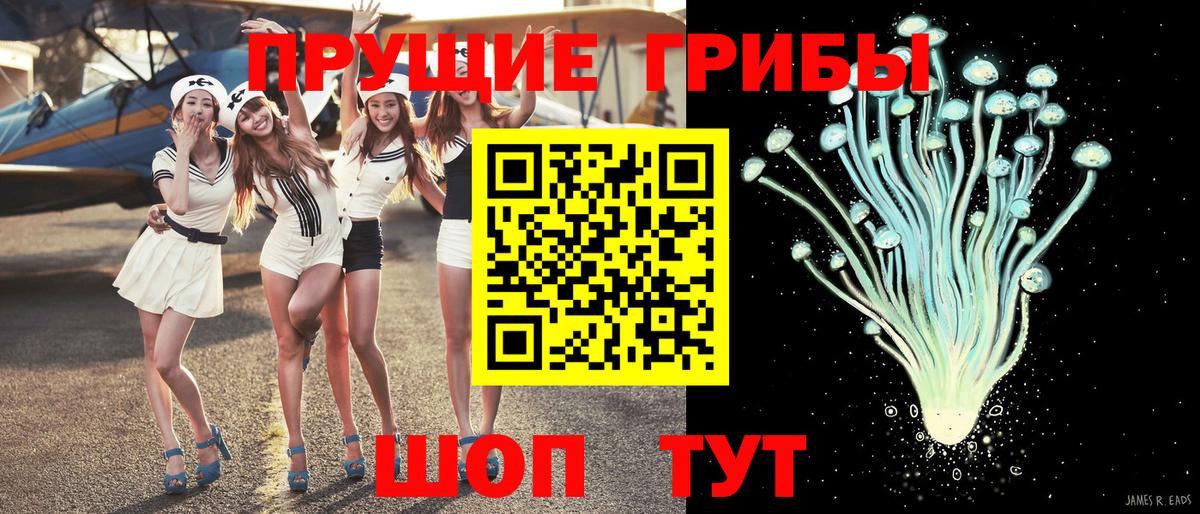 наркошоп  Вход с VPN  Махачкала  Псилоцибиновые грибы Psilocybe  Псилоцибиновые грибы Psilocybe 
